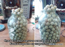 Это ИКРА мышей!!)))