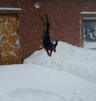 А нам и зимой хорошо!)))))