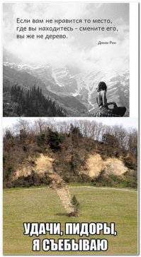 Прикольные картинки. Вечерний выпуск