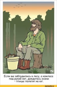 Советы хоть куда!