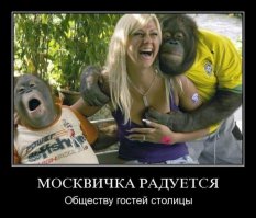 Приколы с животными