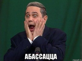 Приколы с братьями меньшими