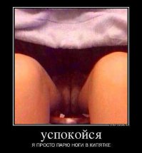 15 забавных фотографий мокрых кисок