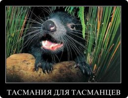 Тасманский дьявол