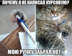 Прикольные картинки. Вечерний выпуск