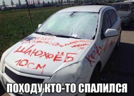 Автоприколы