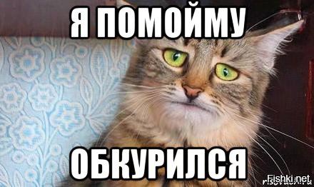 Из солянки от 14.02.2016