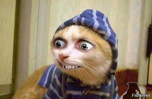 Та неее, вроде ничто такой...