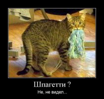 Приколы с братьями меньшими