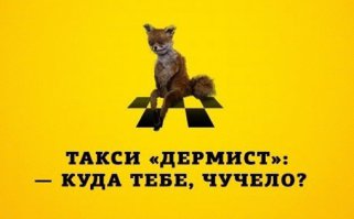 Упоротые таксидермисты 