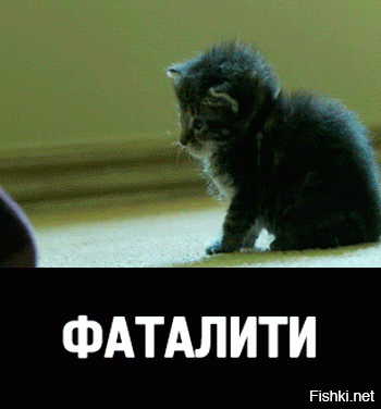 Когда принял чуть больше нормы