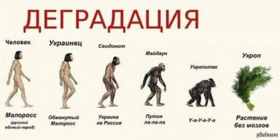 20 сатирических иллюстраций на тему эволюции 