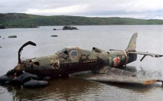 Эти как будто год назад упали, видать в холодной воде лежали.
