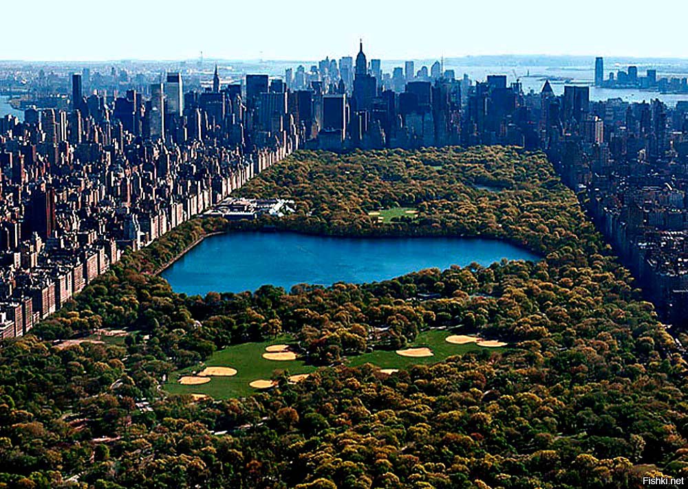 Из солянки от 14.02.2016