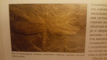 Были времена...