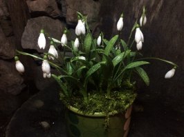 Читаю бредовые комментарии некоторых и диву даюсь... им от всей Души как лучше советуешь, а они то перепуганные, то озабоченные, то просто как дебилы ржут глядя на палец!
Ребята у меня трое внуков к слову и я здоровый во всех смыслах мужик, а не компьютерно-диванная петушка унылая как некоторые. Многим друзьям мои советы жизнь изменили к лучшему и у всех бабы здоровые без циститов, уретритов и прочего триппера.
Кому нравится - пользуйтесь добрыми советами, кто дурак - лечитесь и не лечите других!
Всех с праздником еще раз!