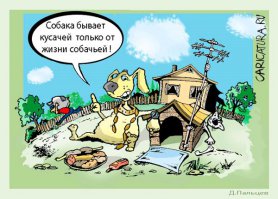 Истинные желания собак не поддаются никакой логике!
