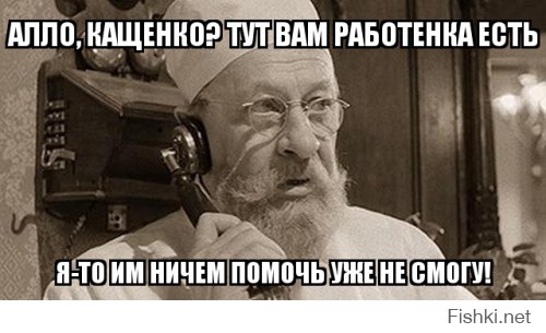 Упоротые таксидермисты 