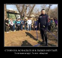 15 величайших боксеров всех времен и народов 