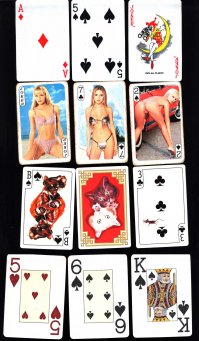 есть и такие. и другого сорта :)
сверху вниз
обычные, для любителей экзотики, для котэманов, ну и казиношные.