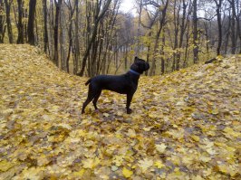 Осень тоже красива..