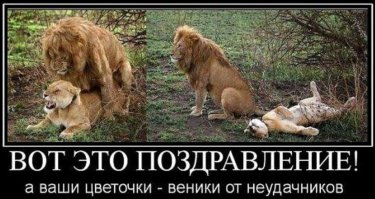 Экстравагантные брачные игры некоторых животных