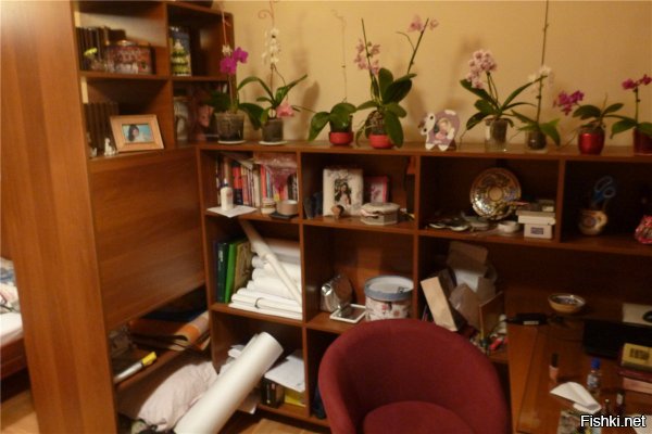 Я малой запилил стол с библиотекой в таком же углу
Сам нарисовал в автокаде, сам собрал
На бардак не смотреть!
Должны еще быть дверки, но кое-кто никак не определится с цветом )
Даже кресло на ваше похоже )