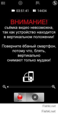 Прикольный котяра +

А за вертикалку тому кто снимал - руки повыкручивать!