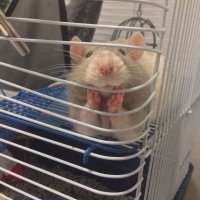 Милота!