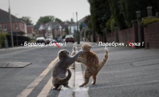 Чем бордюр отличается от поребрика?