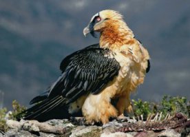 Сергей, спасибо за этот цикл.

Продолжай.