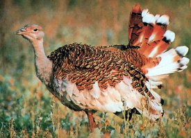 Сергей, спасибо за этот цикл.

Продолжай.