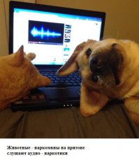 Подборка прикольных фото 