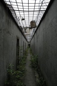 Еще несколько фото оттуда))) На последней два пиндоса ))