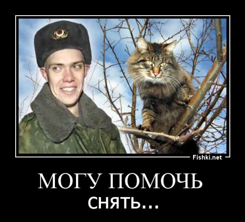 Из солянки от 15.02.2016