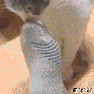 Из солянки от 15.02.2016