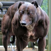 Для компашки