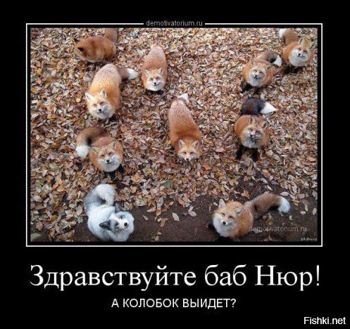 Из солянки от 15.02.2016