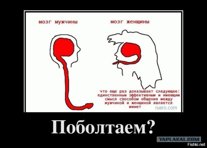 Из солянки от 16.02.2016