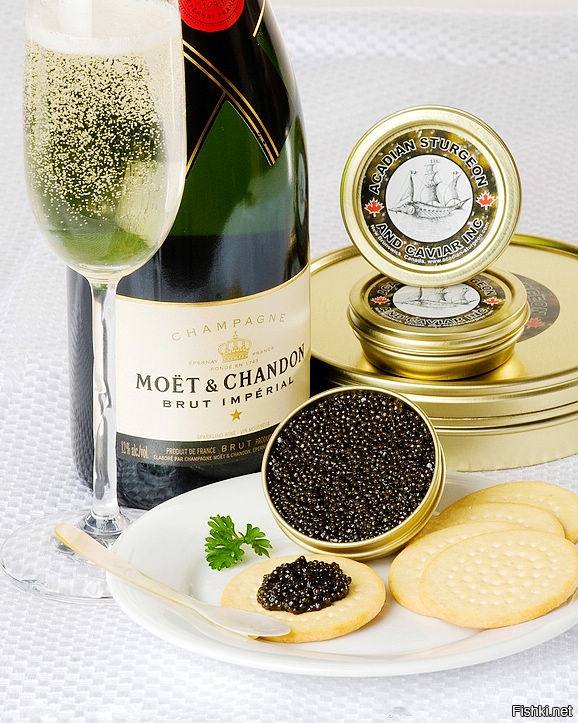 нет
сама хочу чернгой икорки
можно и без блинов
ложечку икорки , глоточек шампанского .. ммм мууурр
Ты ,кстати , обещал с едой приехать .Вот ЭТО вези