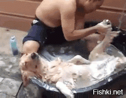 Из солянки от 16.02.2016