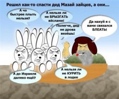 Фото, которые гарантированно поднимут вам настроение