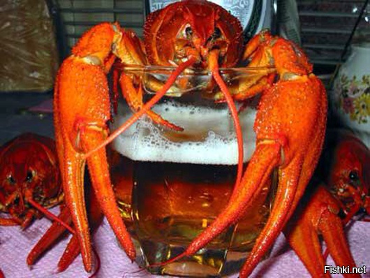 Из солянки от 16.02.2016