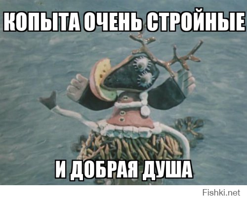 Из солянки от 16.02.2016