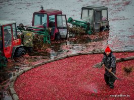 Первое фото - Беларусь, вторая подписана. Может не такие яркие краски, зато аборигены не в чалмах.
