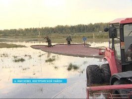 Первое фото - Беларусь, вторая подписана. Может не такие яркие краски, зато аборигены не в чалмах.