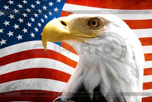 Не эта падла?