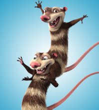 Собака стала мамой для маленьких опоссумов и катает их на спине