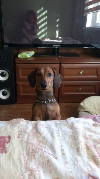 Наша немка заниженная лонг версия