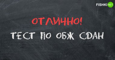 Тест по ОБЖ, который пройдут только отличники (10 вопросов)